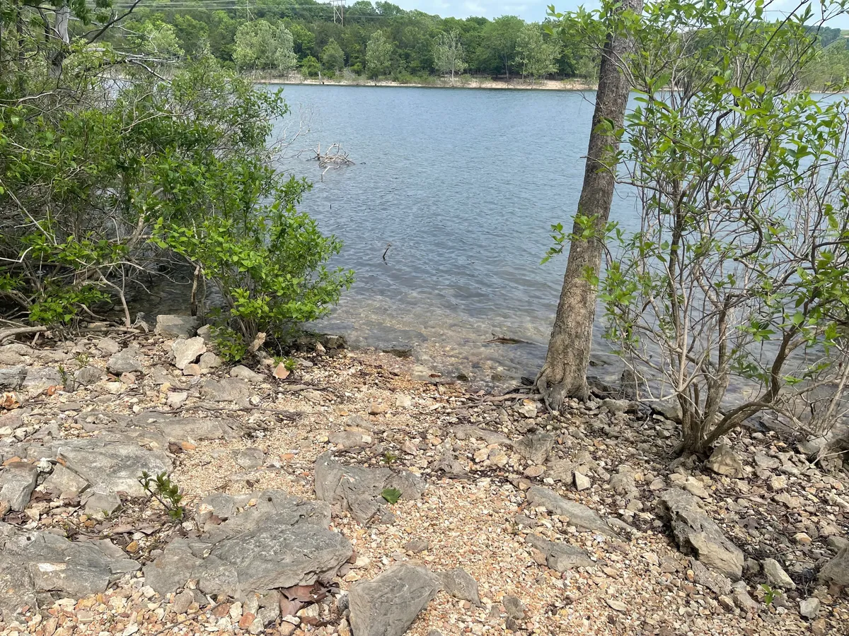 A calm lakeside scene featuring tranquil water, lush greenery, and a rocky shoreline. The peaceful setting evokes the experience of lakeside walks and outdoor enjoyment, perfect for pets and their owners to explore and unwind.